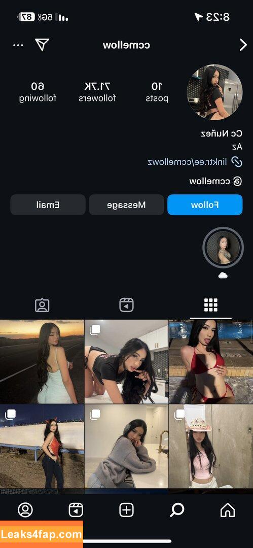 Ccmelloww / CC Nuñez / ccmellow / foxyycc leaked photo photo #0007