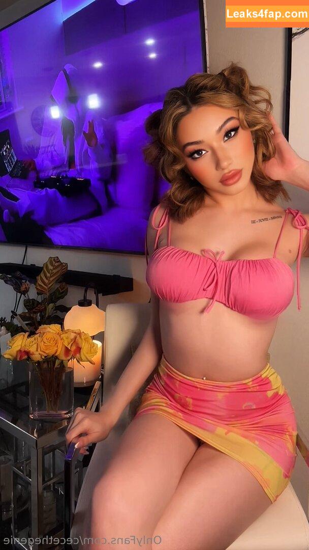 cecethegenie / camilacreaam leaked photo photo #0058