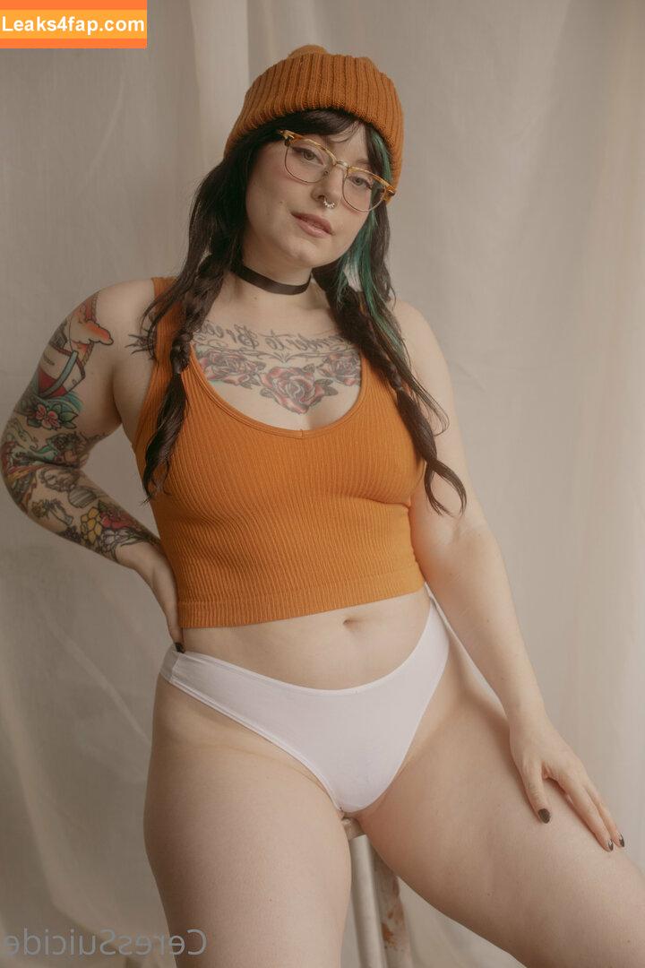 Ceres Suicide / ceres__suicide / ceressuicide leaked photo photo #1604