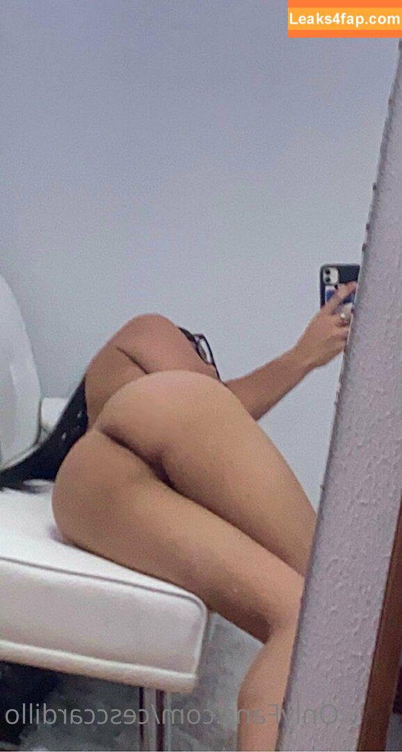 cesca.uncencored / cesccardillo / tgirljayd leaked photo photo #0013