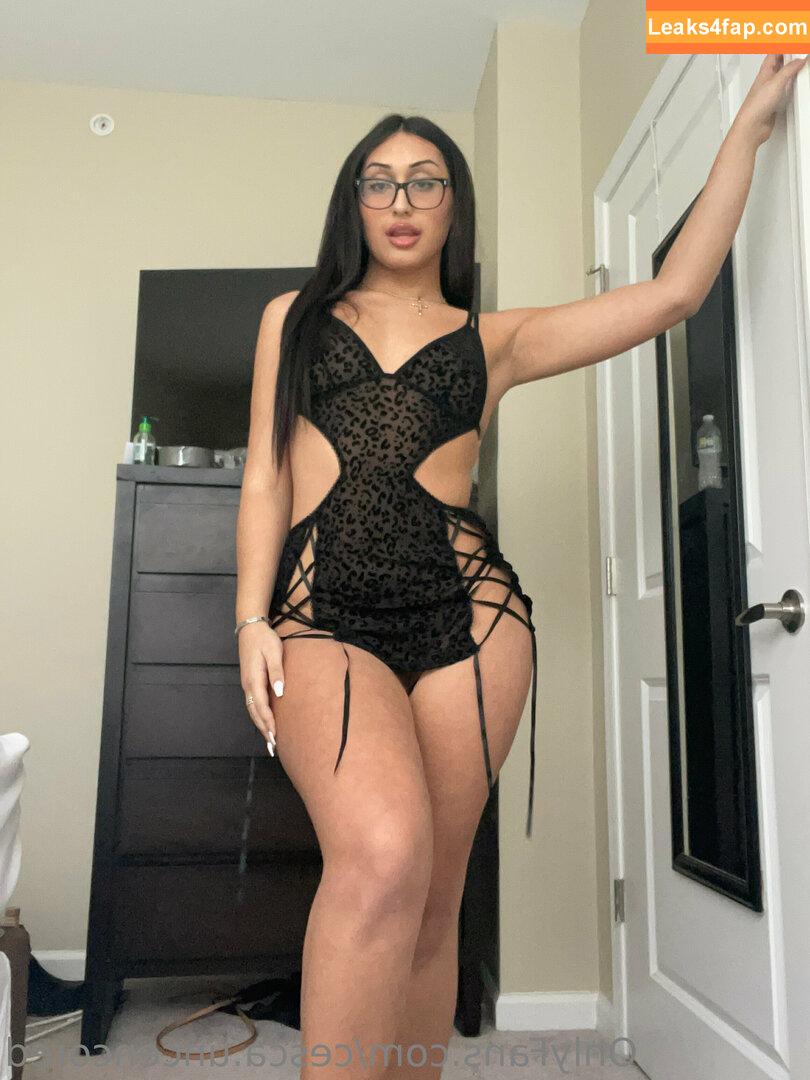 cesca.uncencored / cesccardillo / tgirljayd leaked photo photo #0032