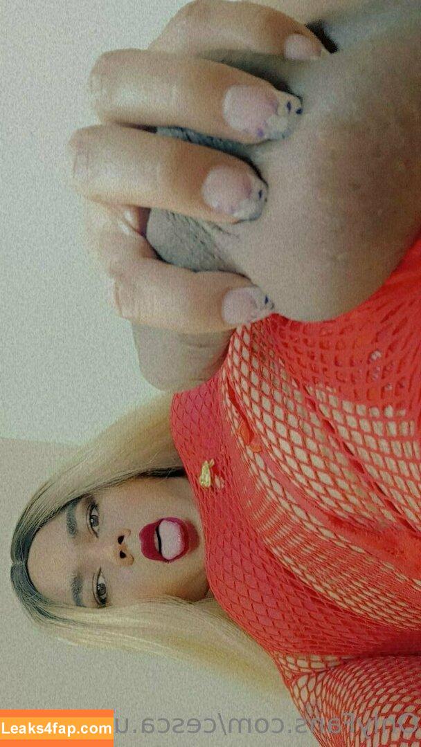 cesca.uncencored / cesccardillo / tgirljayd leaked photo photo #0087