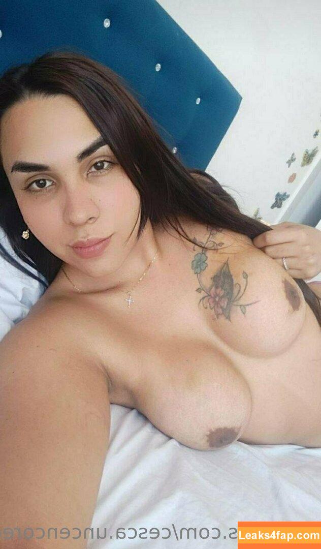 cesca.uncencored / cesccardillo / tgirljayd leaked photo photo #0152