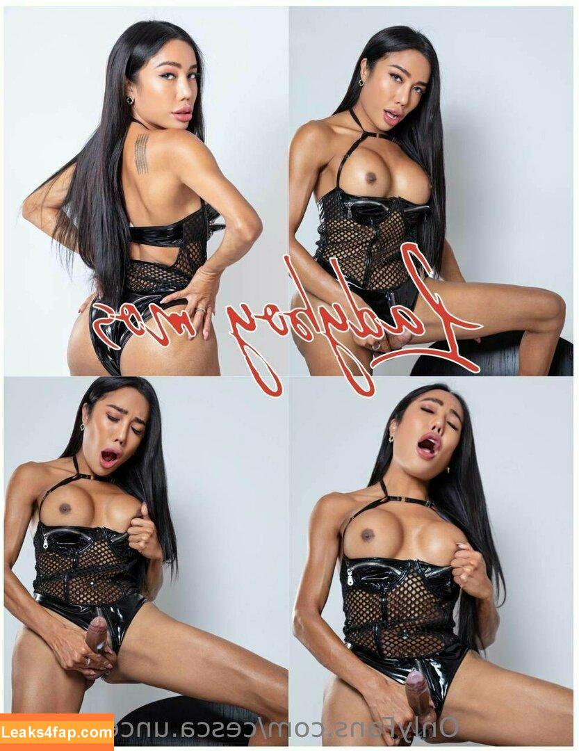 cesca.uncencored / cesccardillo / tgirljayd leaked photo photo #0157