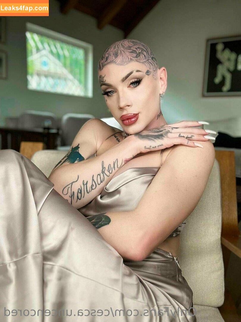 cesca.uncencored / cesccardillo / tgirljayd leaked photo photo #0175