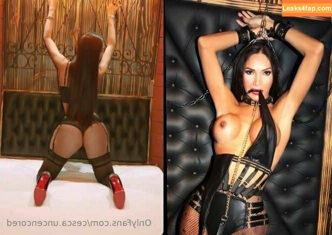 cesca.uncencored / cesccardillo / tgirljayd leaked photo photo #0198