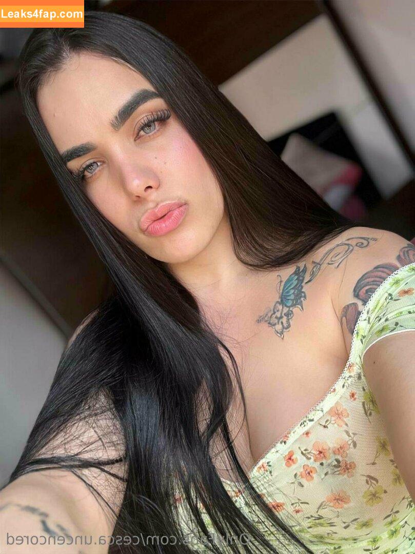 cesca.uncencored / cesccardillo / tgirljayd leaked photo photo #0226