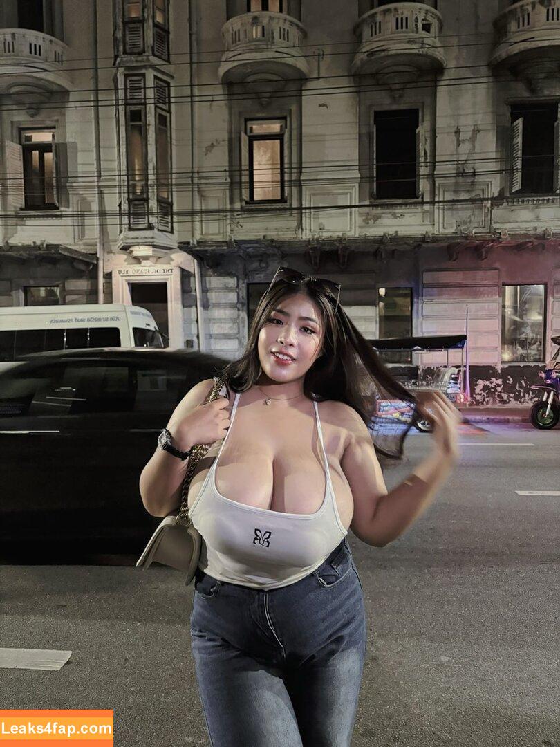 chalisa_karakaet /  leaked photo photo #0027