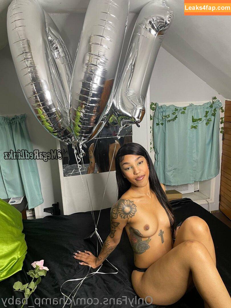 champ_baby / champbabysworld leaked photo photo #0015