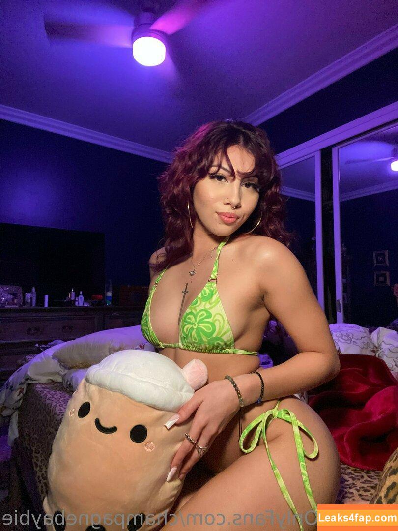 champagnebaybie / Digital Girl leaked photo photo #0039