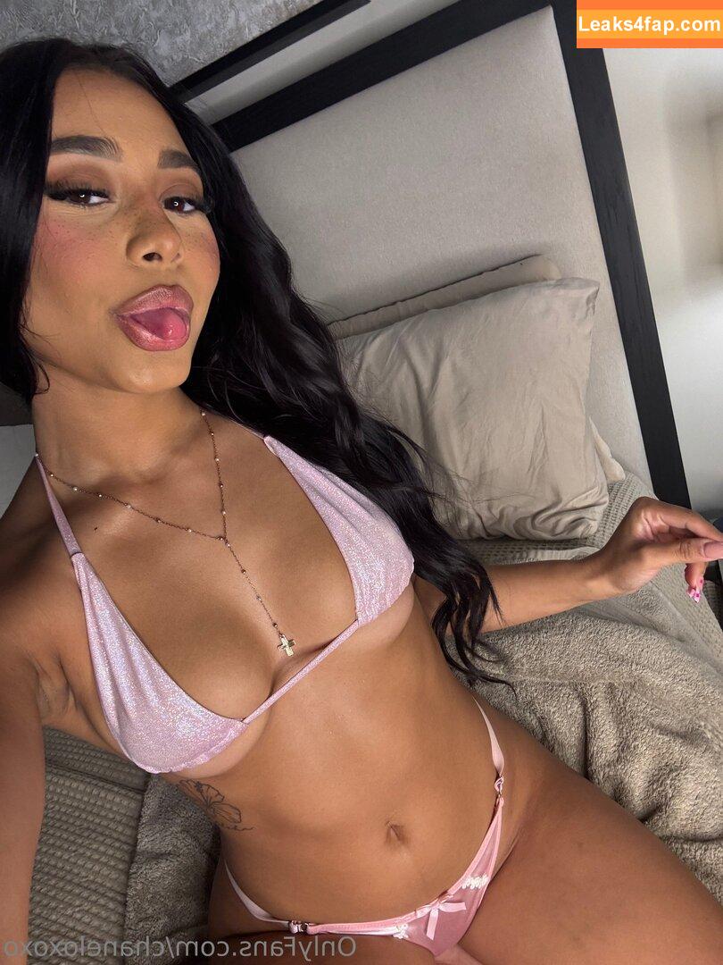 chaneloxoxo / coco.chanelxoxo leaked photo photo #0018