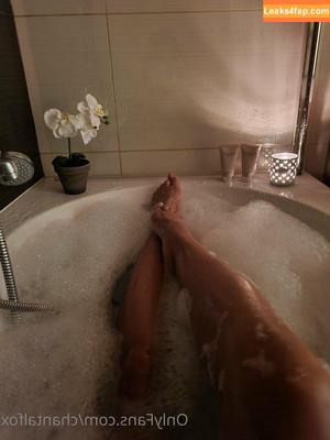chantalfox photo #0013