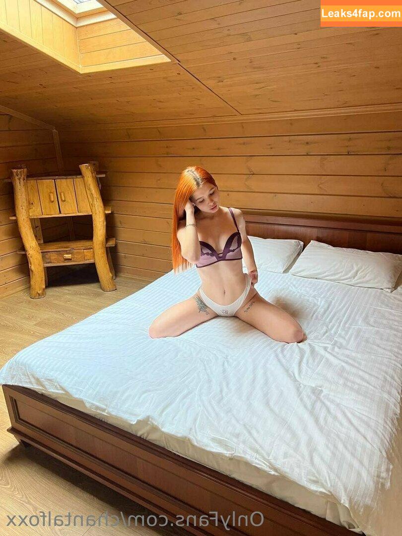 chantalfoxx / chantal.fox leaked photo photo #0030