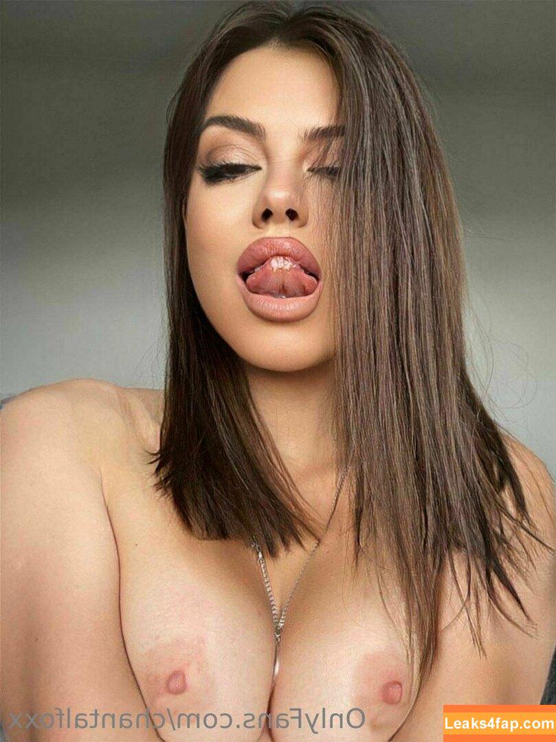 chantalfoxx / chantal.fox leaked photo photo #0038