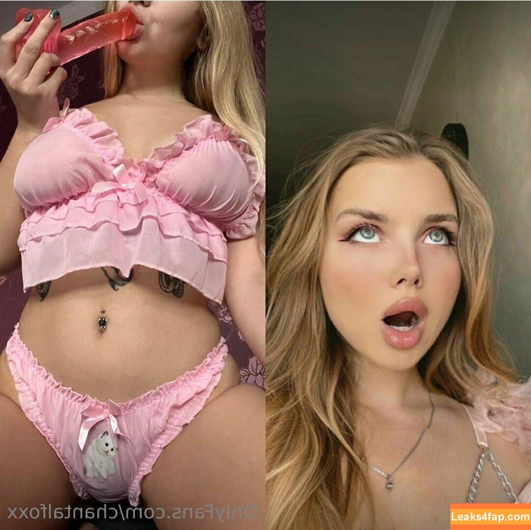 chantalfoxx / chantal.fox leaked photo photo #0047