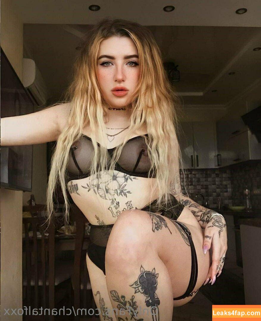 chantalfoxx / chantal.fox leaked photo photo #0186