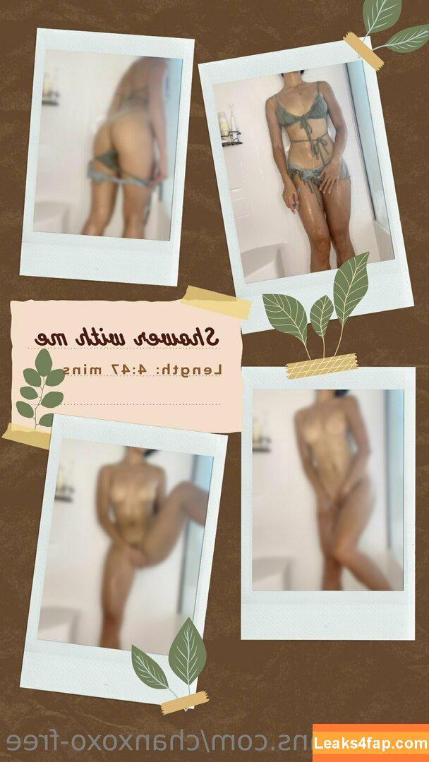 chanxoxo-free / chan_xoxx leaked photo photo #0062