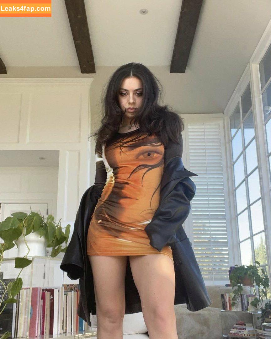 Charli XCX / charli_xcx / charlignarly слитое фото фото #2463