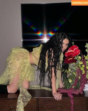 Charli XCX photo #2005