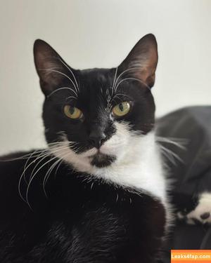 Cherrylovebombb photo #0334