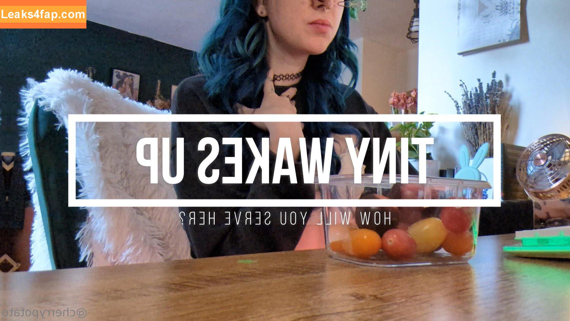 cherrypotato / cherrrypottattoes leaked photo photo #0027