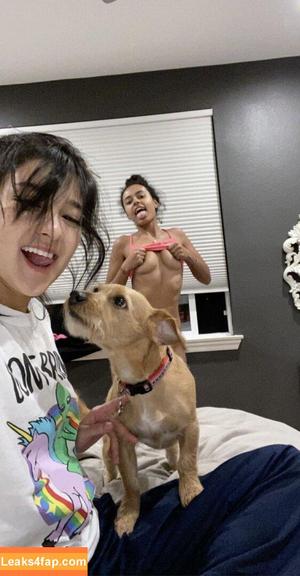 Cherrypuppy photo #0016