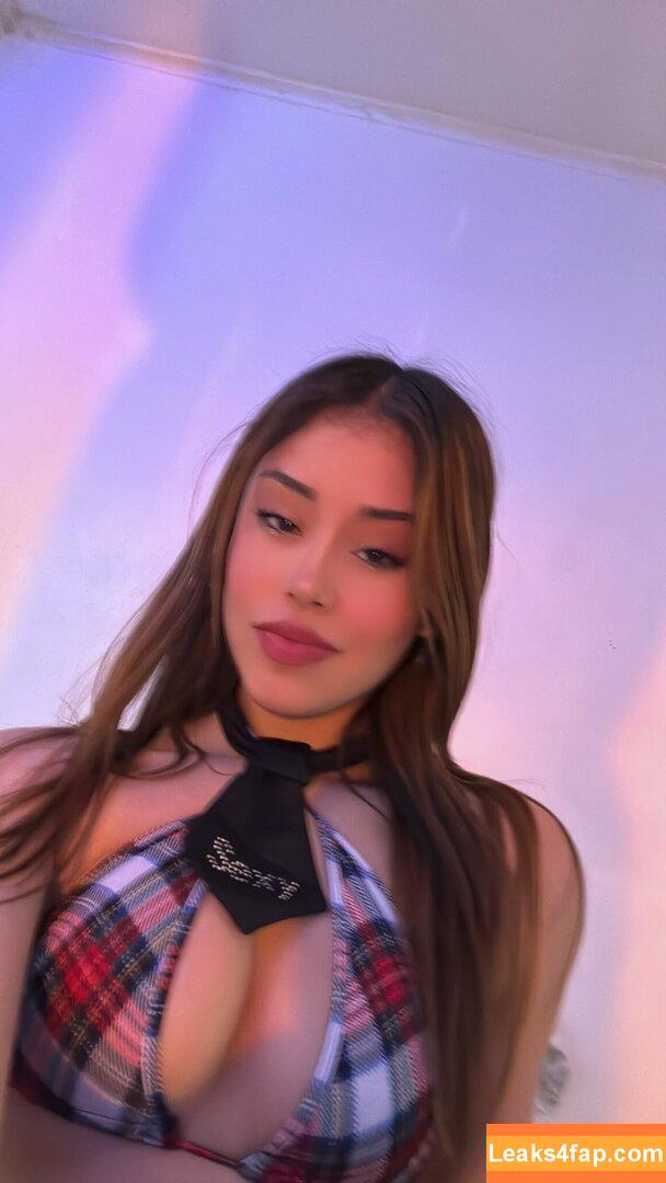 Chile Mega / chile leaked photo photo #0094