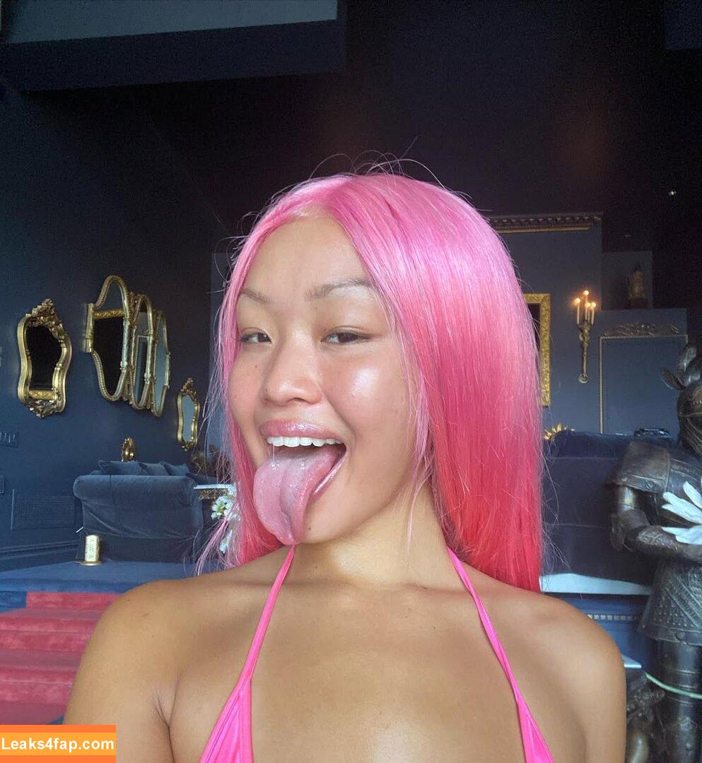 Chinqpink / pinkchinaxoxo leaked photo photo #0019