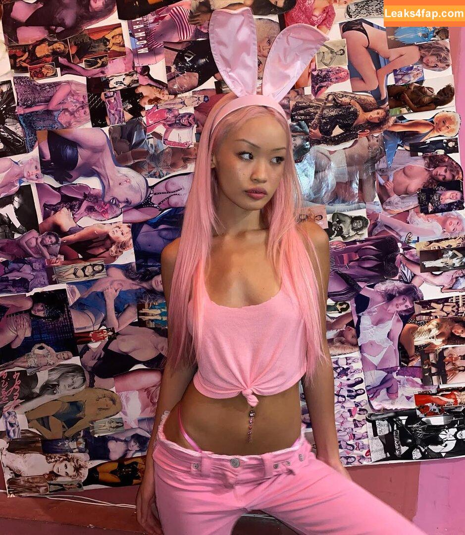 Chinqpink / pinkchinaxoxo leaked photo photo #0026