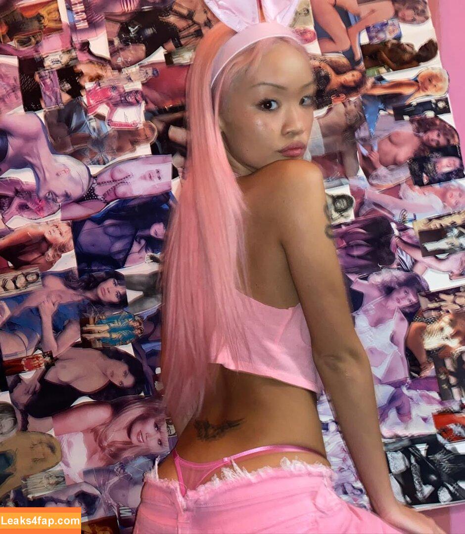 Chinqpink / pinkchinaxoxo leaked photo photo #0027
