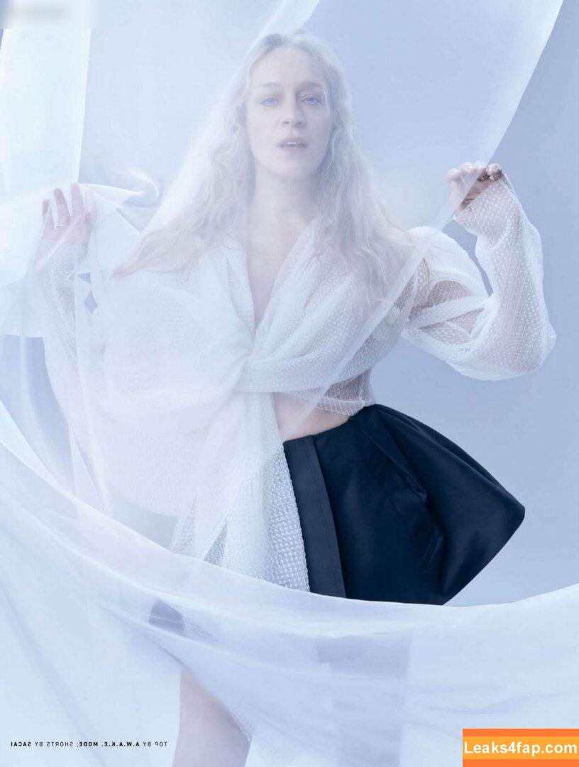 Chloë Sevigny / chloessevigny / officialchloes leaked photo photo #0070