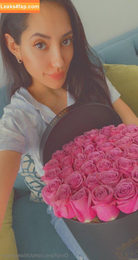 chloeamour / realchloeamour2.0 слитое фото фото #0039