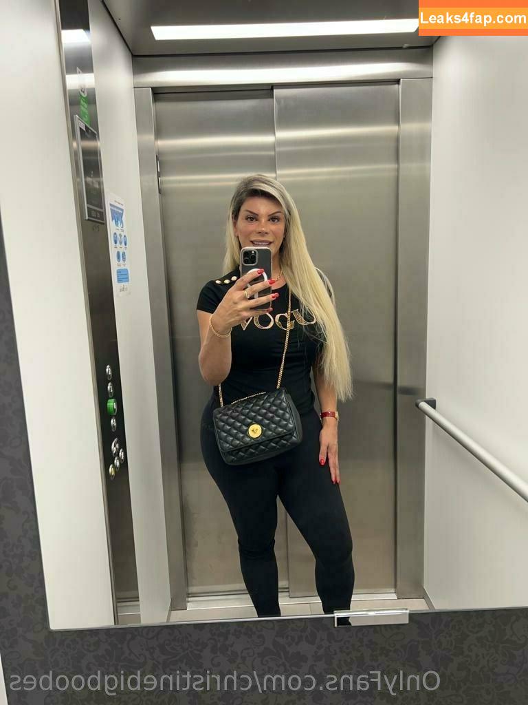 christinebigboobes / Christine / thechristinequinn leaked photo photo #0002
