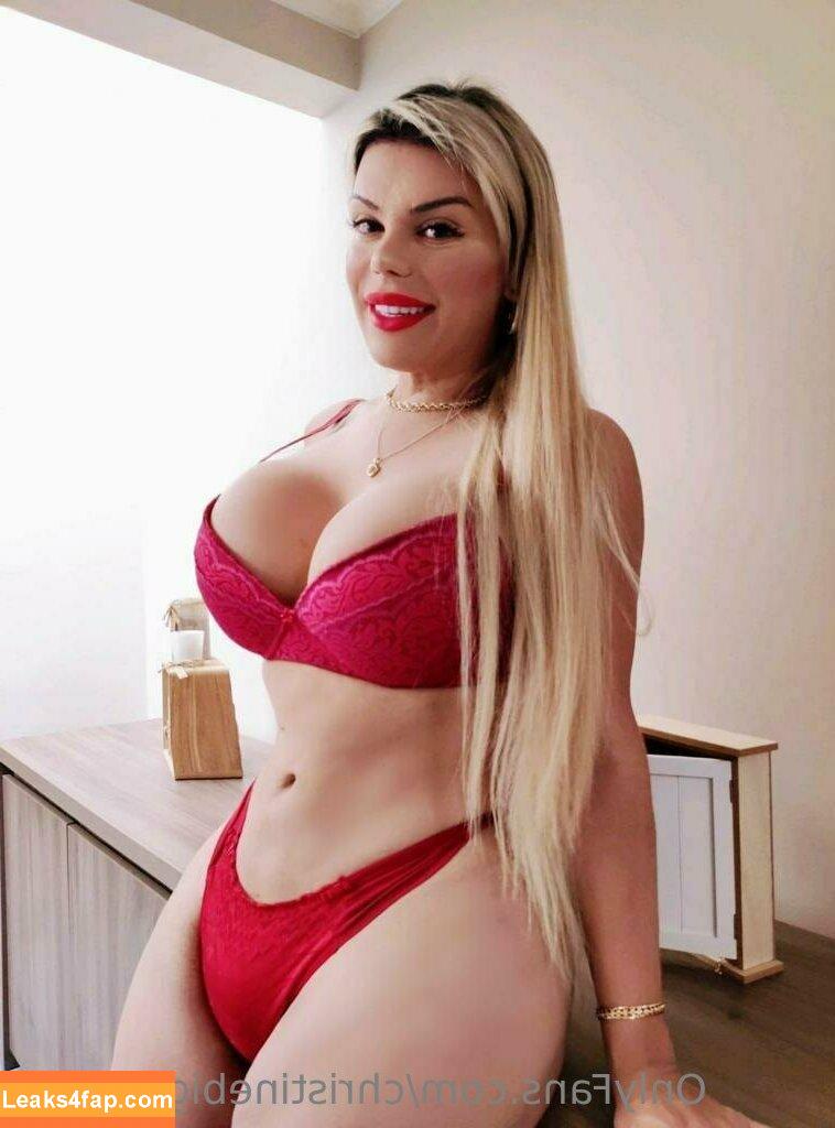 christinebigboobes / Christine / thechristinequinn leaked photo photo #0036