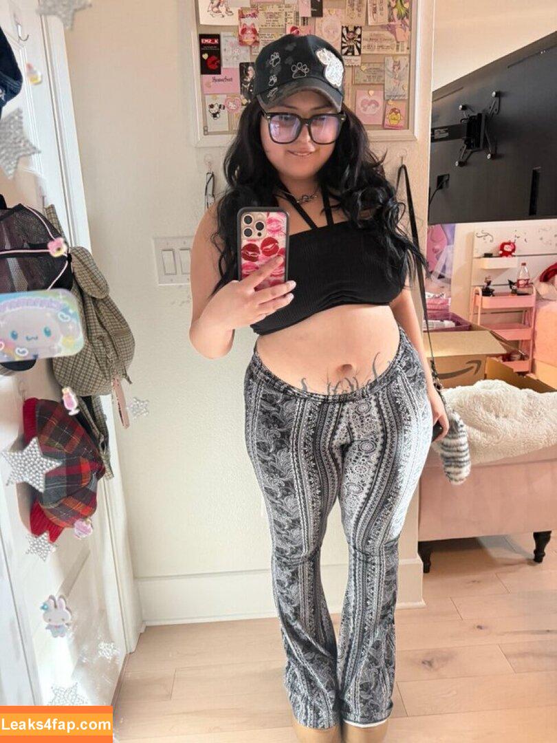 Chubbikitticat / Y2kfairyforever leaked photo photo #0042