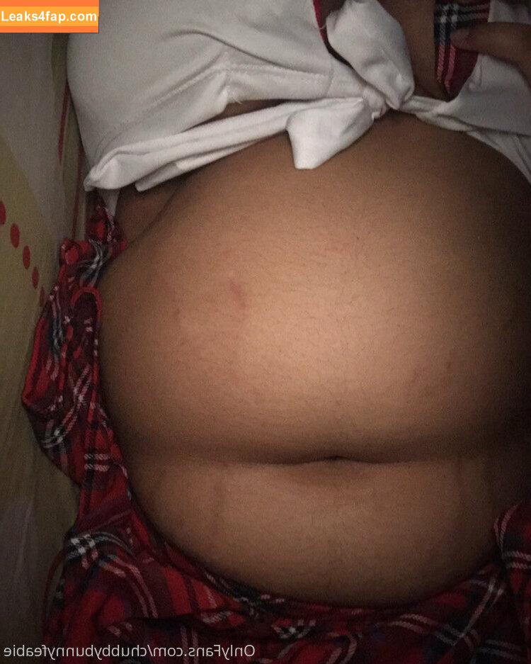 chubbybunnyfeabie /  leaked photo photo #0020