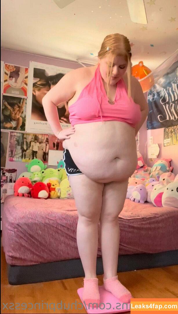 chubprincessx / _soprincesss leaked photo photo #0004