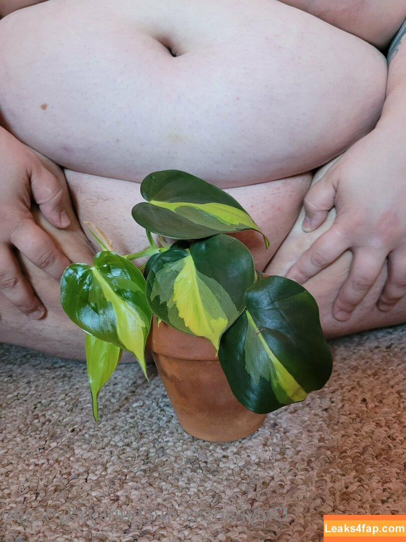 chunkyxavocado / bananavocado leaked photo photo #0014