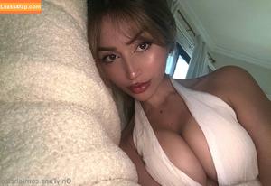 cicofox photo #0007