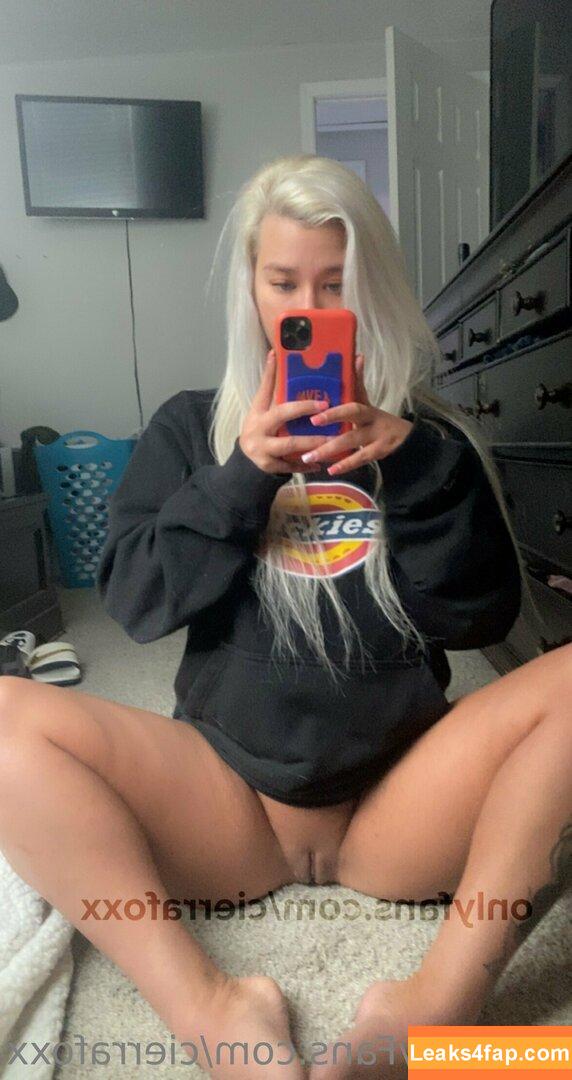 cierrafoxx / thesierrafox leaked photo photo #0140