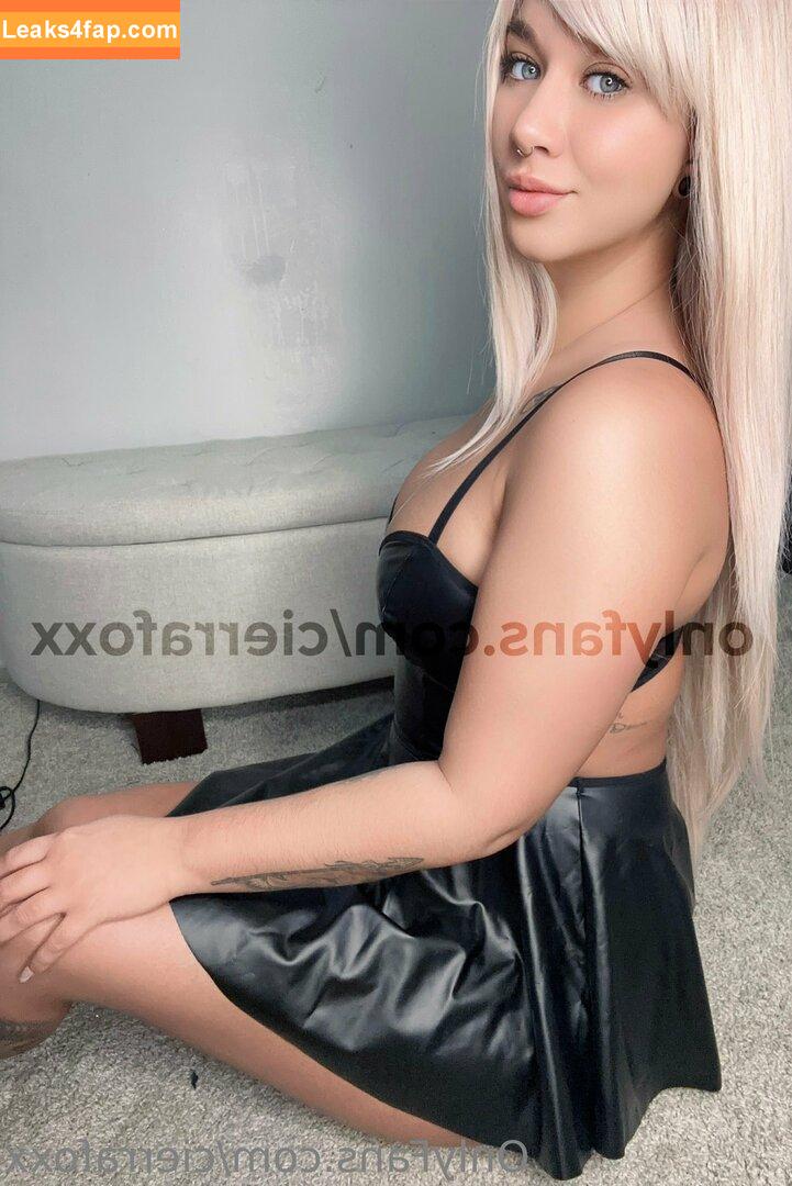 cierrafoxx / thesierrafox leaked photo photo #0145