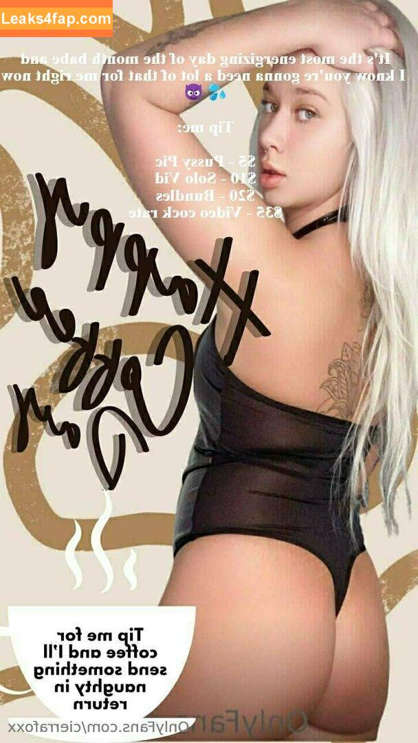 cierrafoxx / thesierrafox leaked photo photo #0183