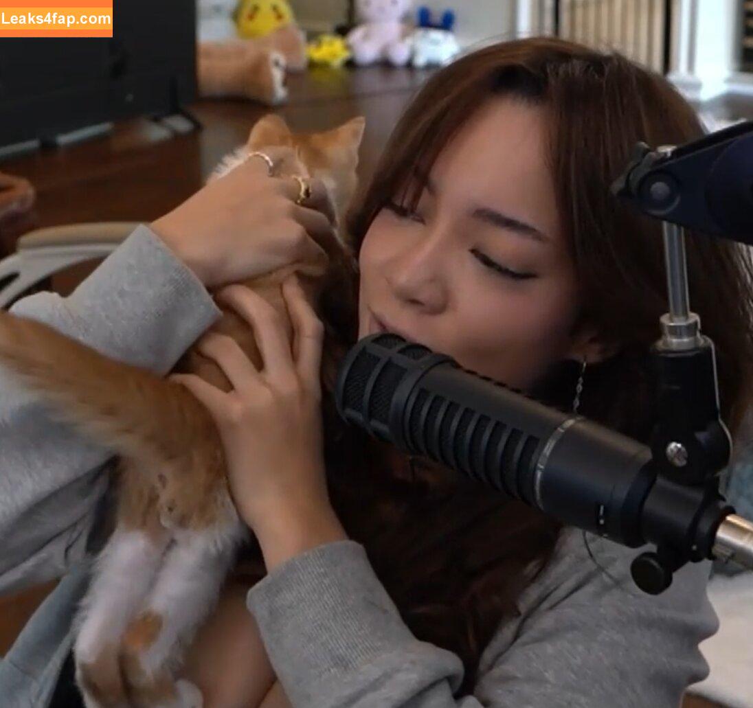 Cinnabrit / Cinna / cinnanut leaked photo photo #0929