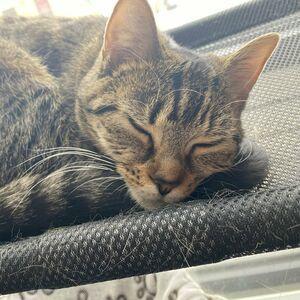 clara_dee photo #0053