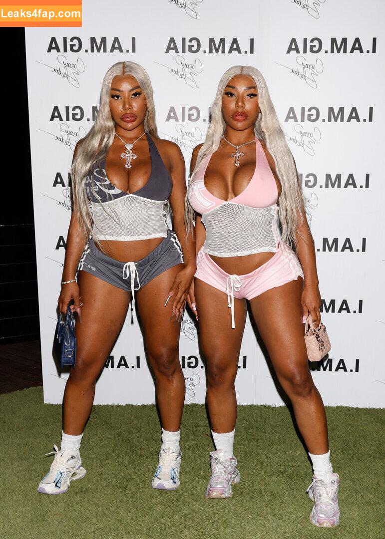 Clermont Twins / Theclermonttwins / clermonttwins слитое фото фото #0015