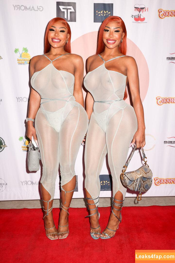 Clermont Twins / Theclermonttwins / clermonttwins слитое фото фото #0016