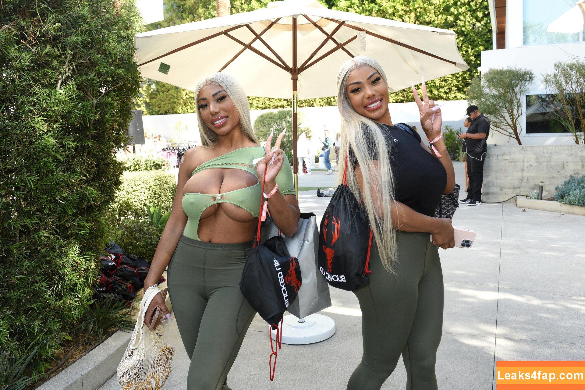 Clermont Twins / Theclermonttwins / clermonttwins слитое фото фото #0022