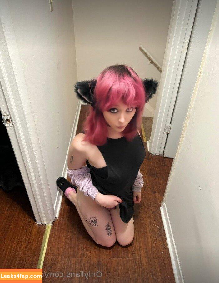 cobrakitty /  leaked photo photo #0062