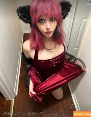 cobrakitty photo #0033