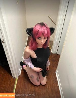 cobrakitty photo #0062